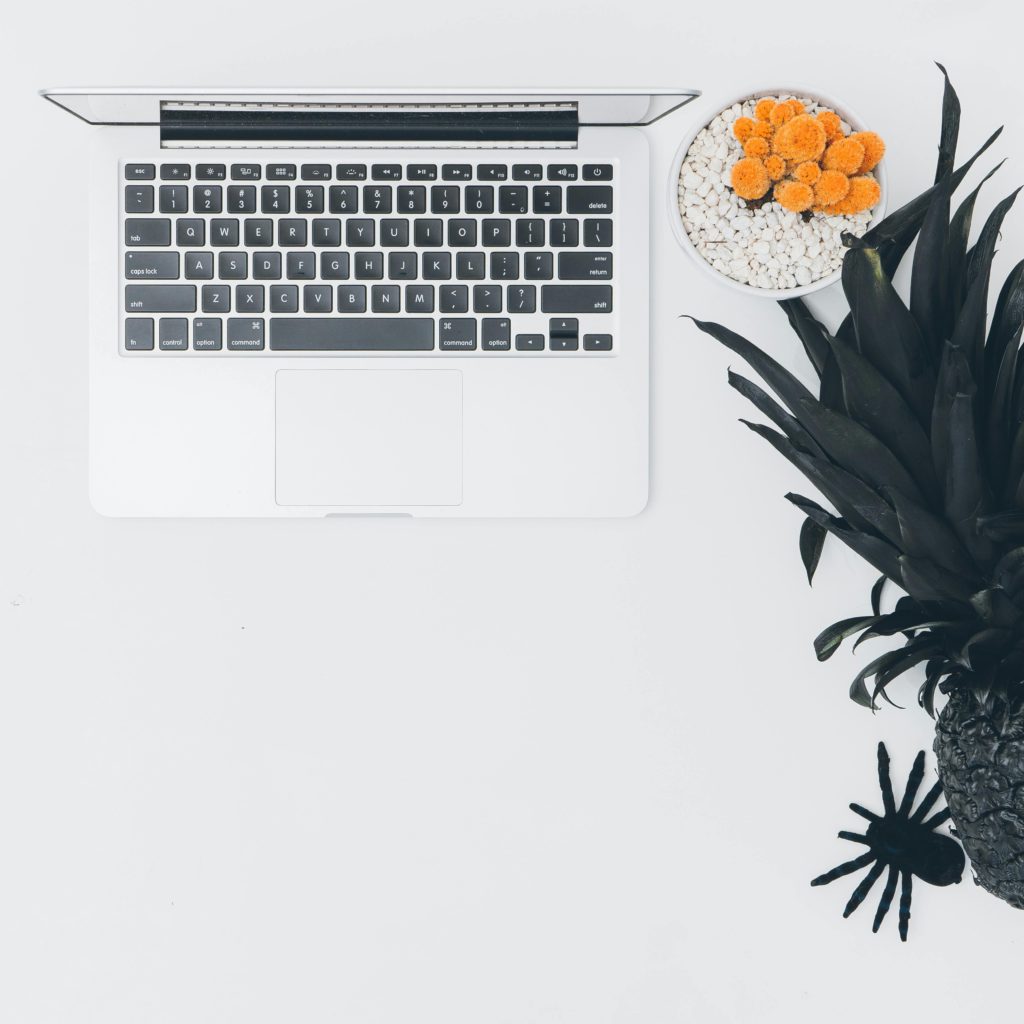 pexels-photo-211856-211856 Modern minimalistic desk setup featuring a laptop, pot plant, black pineapple, and decorative spider.